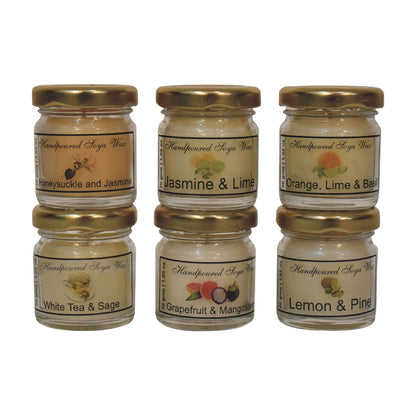 Mini Candle Set of 6 (Fruit)