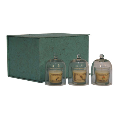 Round Cande Set of 3 (Fruit)