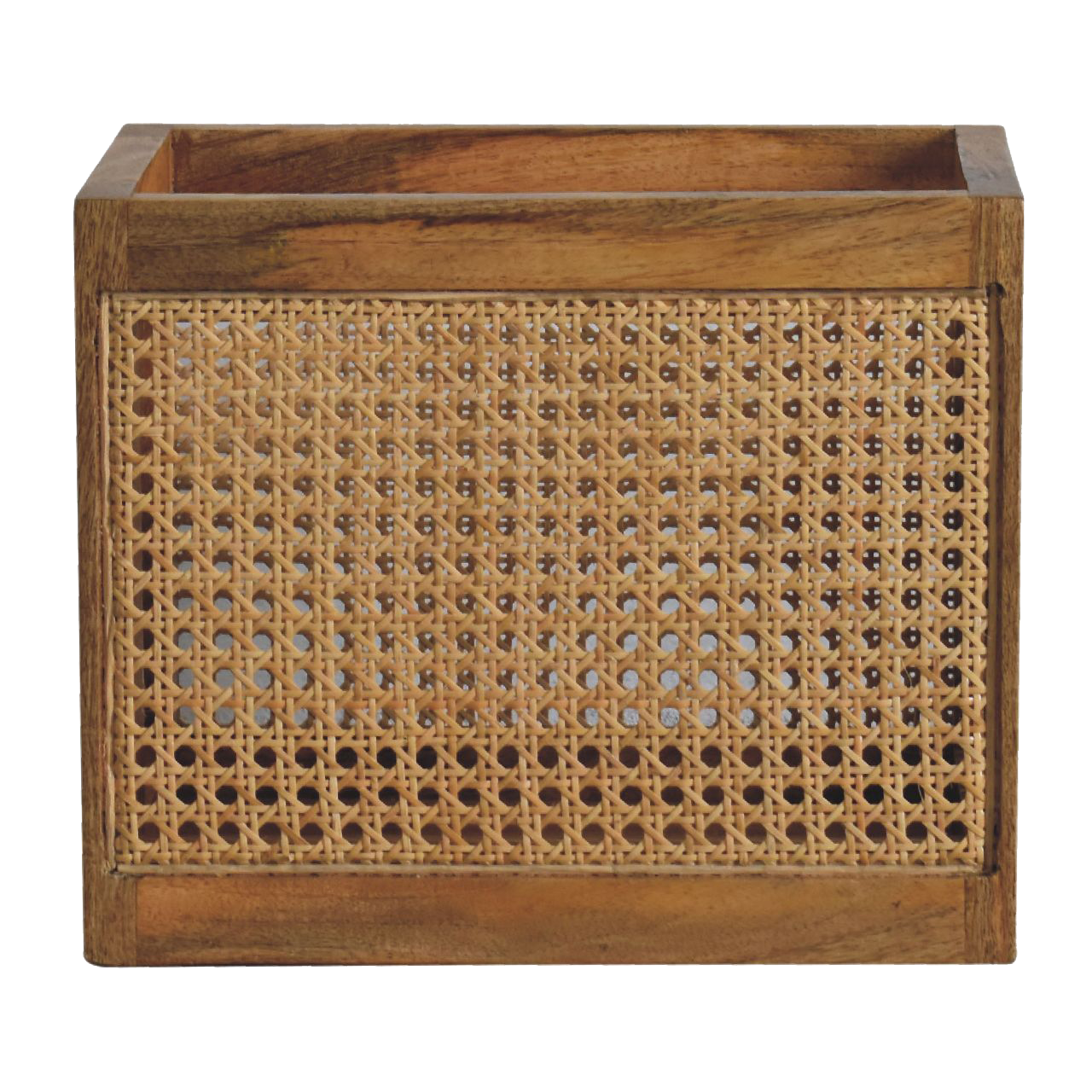 Larissa Storage Basket